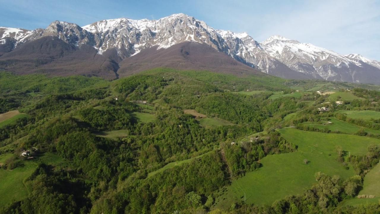 B&B Le Ginestre Castelli Bagian luar foto