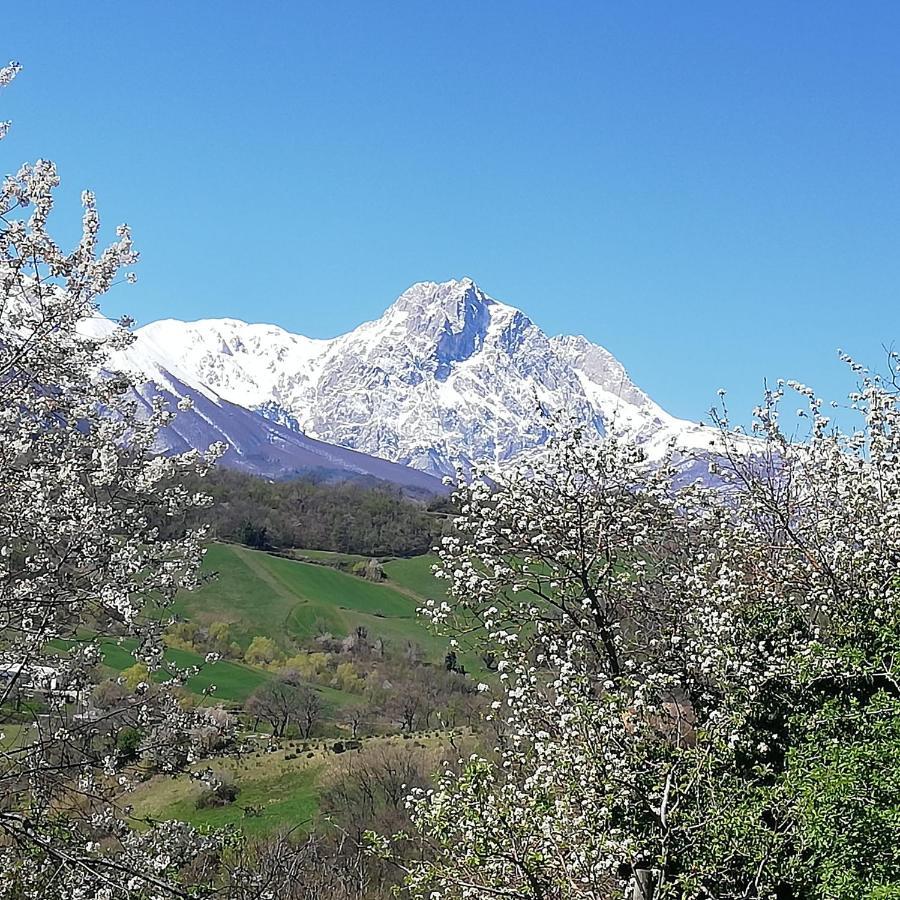 B&B Le Ginestre Castelli Bagian luar foto