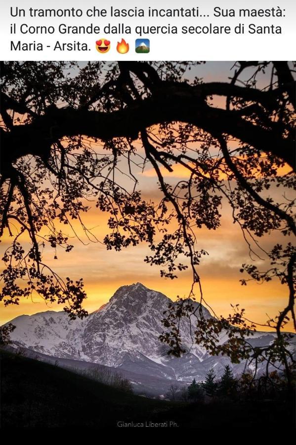 B&B Le Ginestre Castelli Bagian luar foto