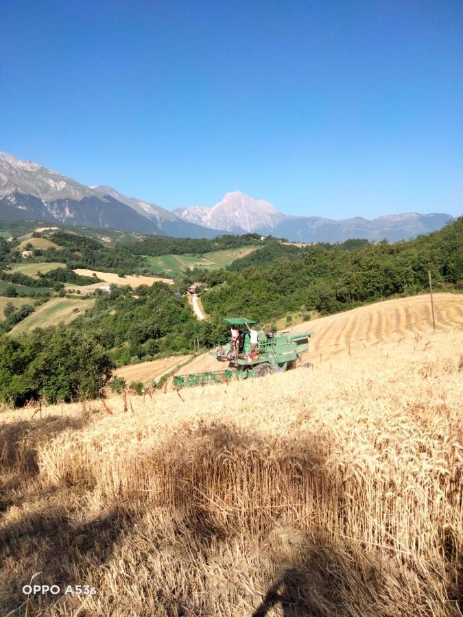 B&B Le Ginestre Castelli Bagian luar foto