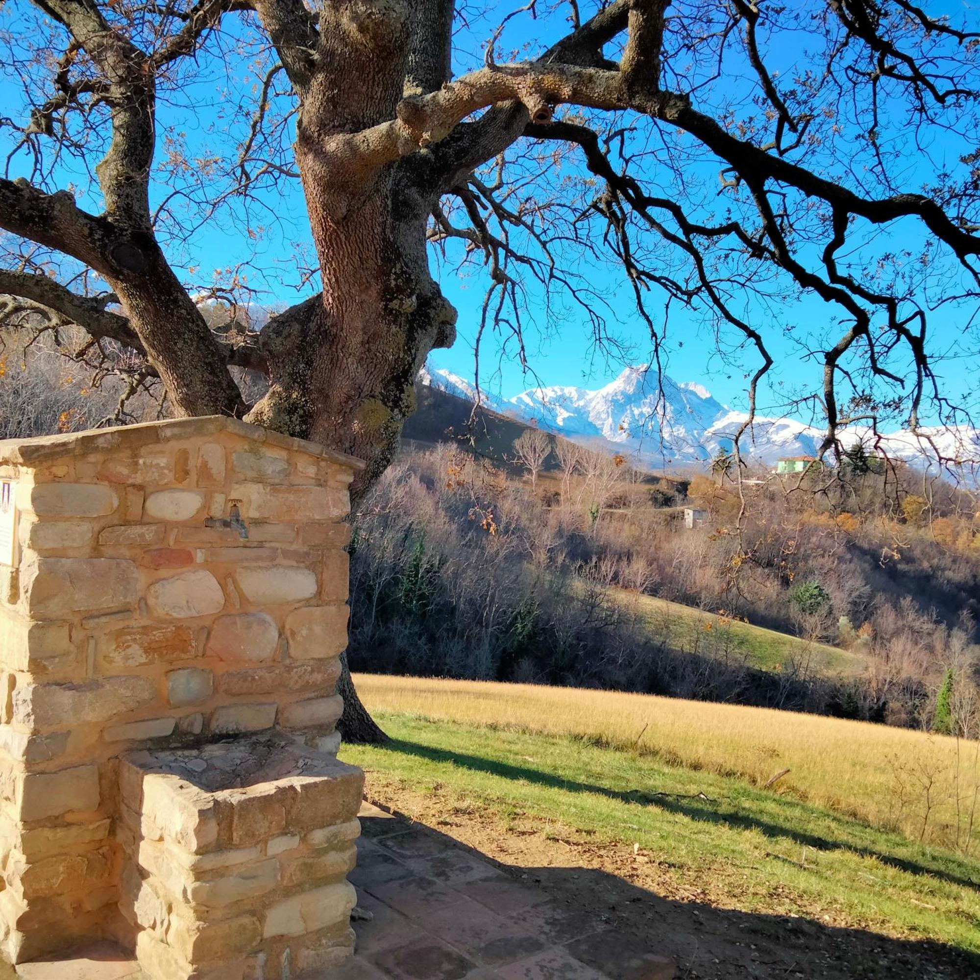 B&B Le Ginestre Castelli Bagian luar foto