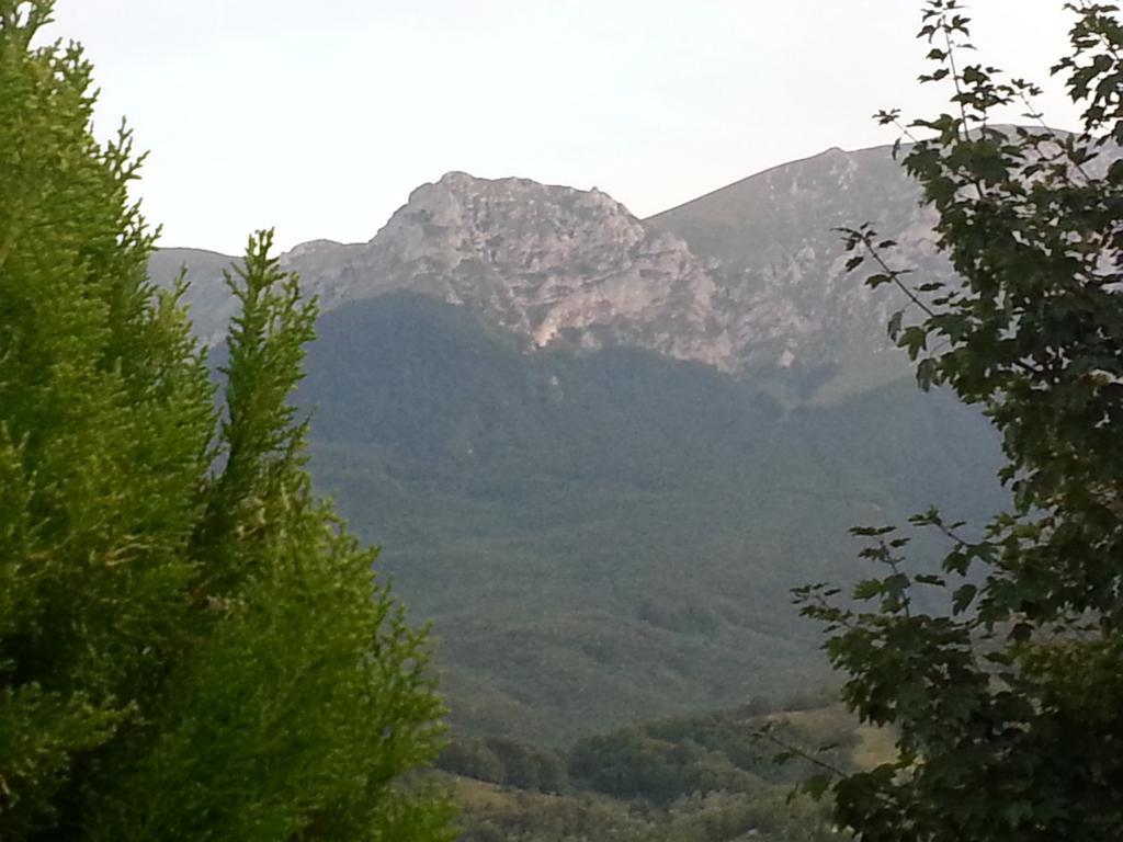 B&B Le Ginestre Castelli Bagian luar foto