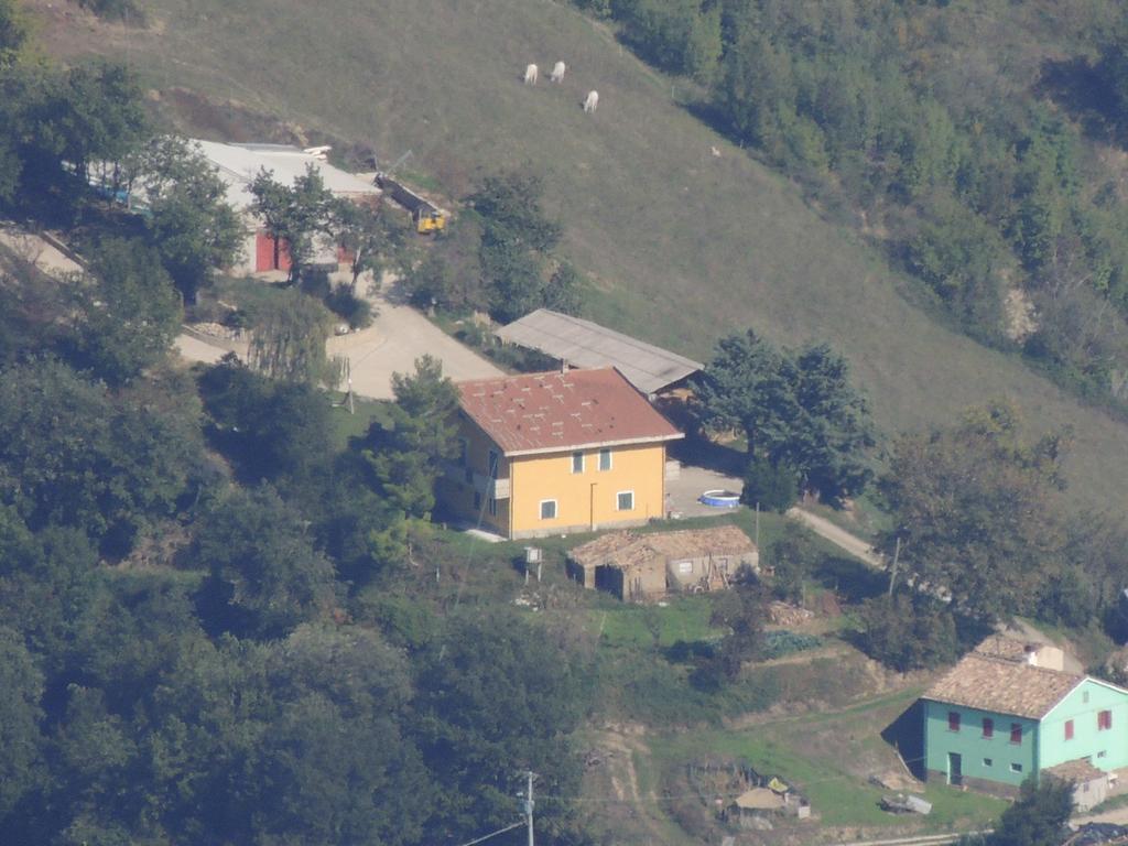 B&B Le Ginestre Castelli Bagian luar foto